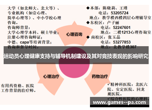 运动员心理健康支持与辅导机制建设及其对竞技表现的影响研究